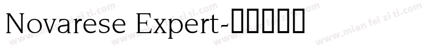 Novarese Expert字体转换